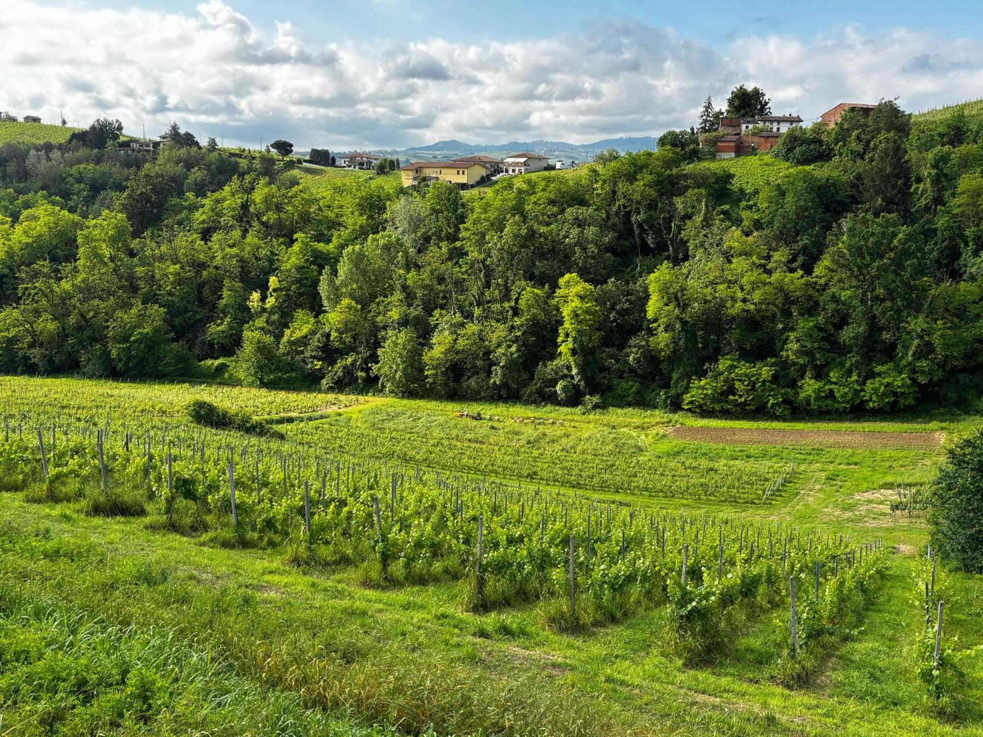 Agriturismo Casa Casoni Canneto Pavese Εξωτερικό φωτογραφία